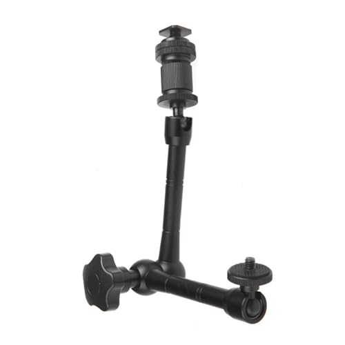 vtFbVi 11 C`A~֐߃A[͂ȑω׏d肵tuPbgʐ^rfI@肵J̎t