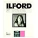 Ilford Multigrade IV RC Deluxe Resin Coated VC Variable Contrast Black & White Enlarging Paper - 8x10