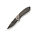 Buck Knives 0327TTS Nobel-Titanium