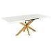 Table Extensible Avia avec Pied de Table araignée 140x90x79 cm (Base de Table: d'or, Marbre)