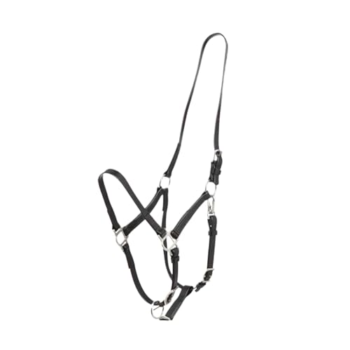 Rainbow - Cabestro de cuero de PVC para caballo, estilo de sillín australiano, equipo de equitación inglés y occidental (negro)