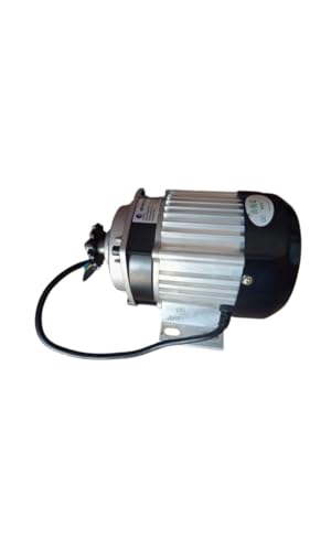 Image of 48v 800 Watt BLDC MOTOR For E-Rickshaw& E-Bike