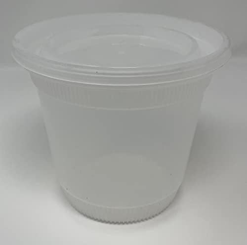 Reditainer Große Öffnung, 900 ml, Paket mit 36 Sets Cover