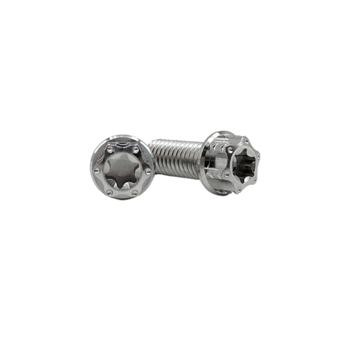 Image of RISON Titanium Bolts M10*1.25 * 25 Torx Titanium Bolts for Motorcycles Hex Head Dual Drive Original Titanium Flange Bolt Pack of 5