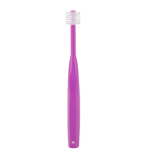 Brush My Teeth Medium Dog Toothbrush with Round Brush Head, Multi-color - Image 3