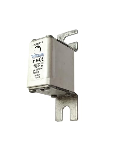 Fusible en céramique 170M2619 contre la surchauffe basse tension soufflage rapide
