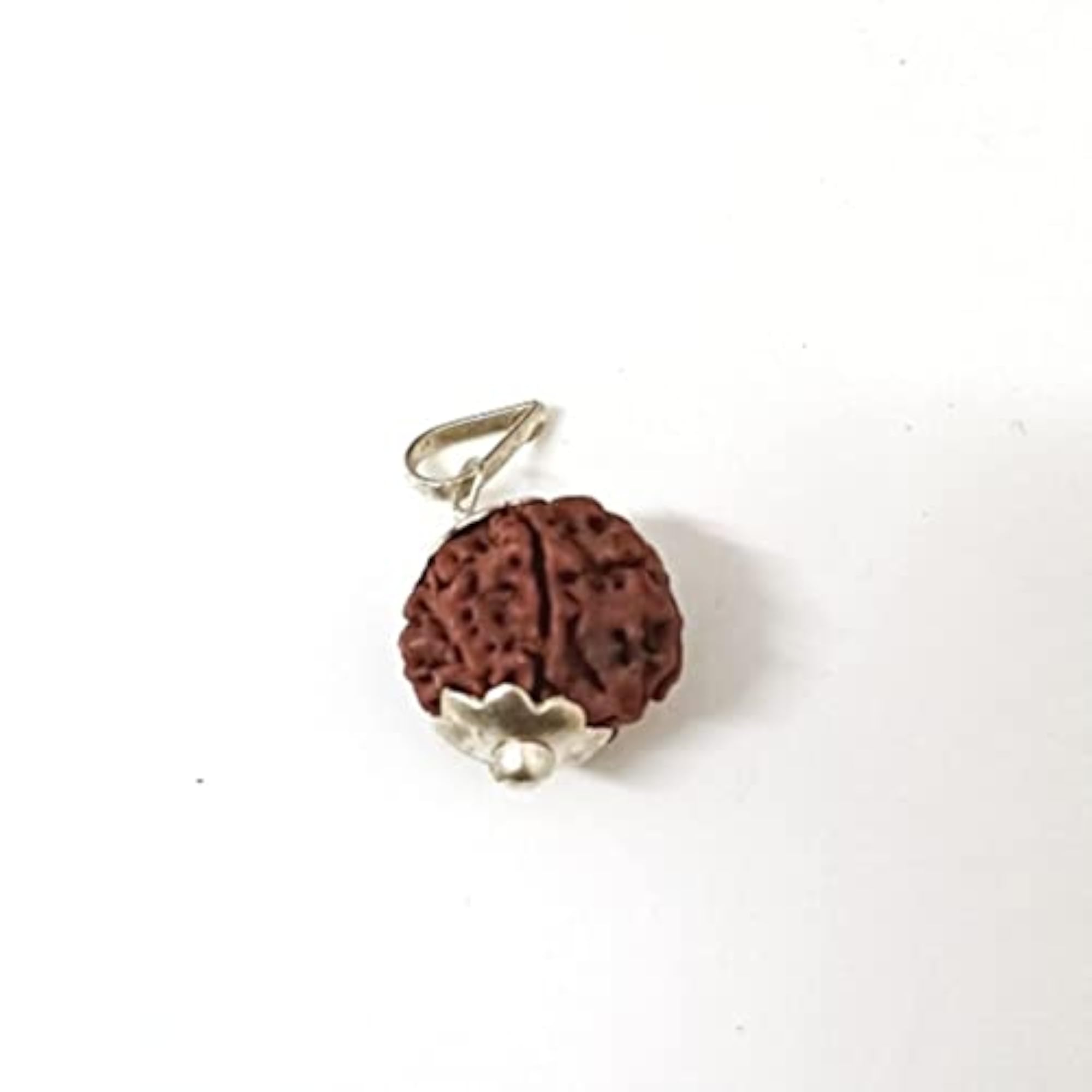 7 Mukhi Seven Faced Nepali Rudraksha Silver Pendant, Spiritual Healing