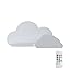 White Cloud Shelf – Remote Light