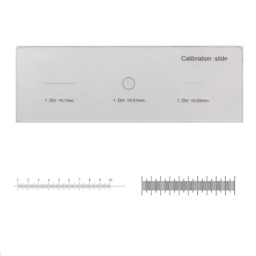 }CN[g ZKXXCh`NKXe[W_C}CN[^[wIpZK(MS-1-3)