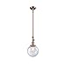 Innovations 206-AC-G204-8 1 Light Mini Pendant, Antique Copper