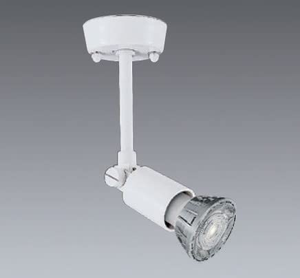 Amazon | ENDO LEDスポットライト 直付用 LEDZランプJDR用