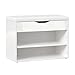 RICOO Banco Zapatero con Asiento 60 x 42 x 30 cm Mueble recibidor Blanco – Organizador Zapatos WM032-W-W