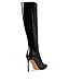 ALDO Women's Agathea Knee High Boot, Black, 8.5