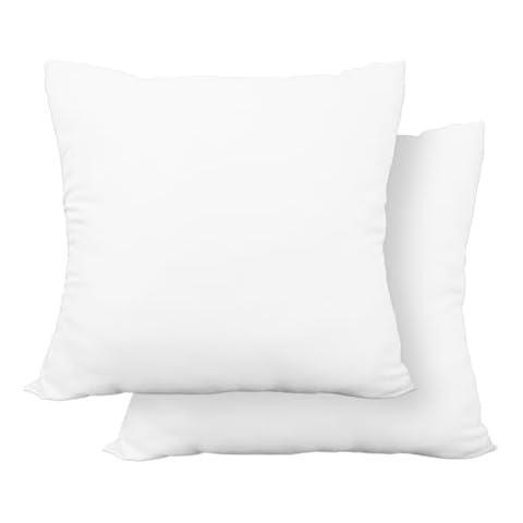 HomeLifairy Throw Pillows Insert Square Bed and Couch Pillows - Indoor Sofa Decorative Pillows (2 Pack, 16" x 16") Cover