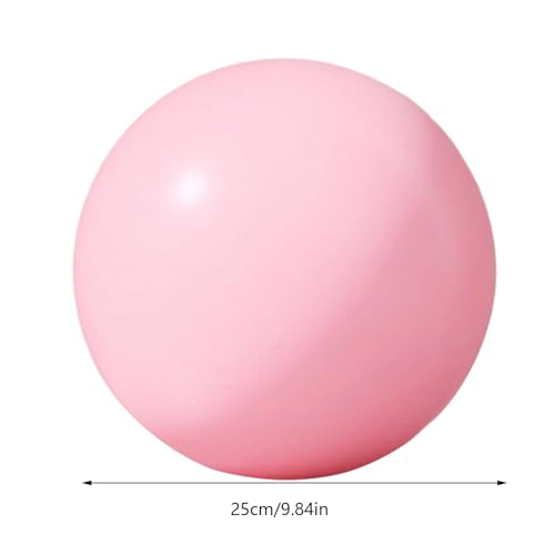 Small Exercise Ball, Mini Training Tool, Exercise Ball with Anti Burst Design, Exercises Balls for Home Gym, Fitness Workout Accessories, Exercises Balls for Girls Women Wife Girlfriend - Afbeelding 3