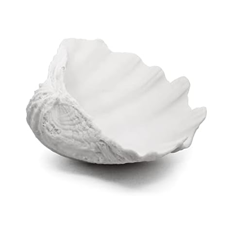 Accessoryway Large White Sea Shell Decorative Bowl Cover