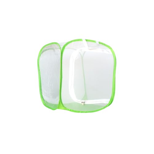   bV  ܂肽 P[W Ђt JugV c P[X ʋC lbg ɐB ώ@ W{ ̂ ߊl  y ঒ nEX O RT [ȒP q̒av[g  (S TCY,O[)