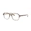 Gradient Light Brown Havana/Demo Lens