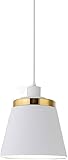 Photo Gallery qsyjccxd luce appesa al colore, tavolo da pranzo - apparecchio decorativo, lampade a sospensione in metallo, apparecchi di illuminazione a soffitto a vite e26, lampadario lampadario Photo Gallery qsyjccxd luce appesa al colore, tavolo da pranzo - apparecchio decorativo, lampade a sospensione in metallo, apparecchi di illuminazione a soffitto a vite e26, lampadario lampadario