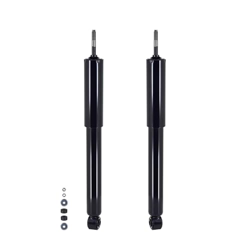 PM Auto Pair of 2 Front Shock Absorber Replacement For 1966-1977 Volkswagen Beetle