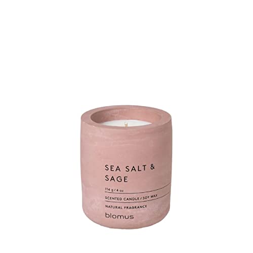 blomus -FRAGA- Duftkerze S aus Sojawachs, Withered Rose, hochwertiger Raumduft, charakteristische Beton-Optik, Duft SEA SALT & SAGE, 24 h Brenndauer (H / B / T: 8 x 6,5 x 6,5 cm, Withered Rose, 65651)