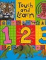Hardcover Touch and Learn 123 Casebound Book