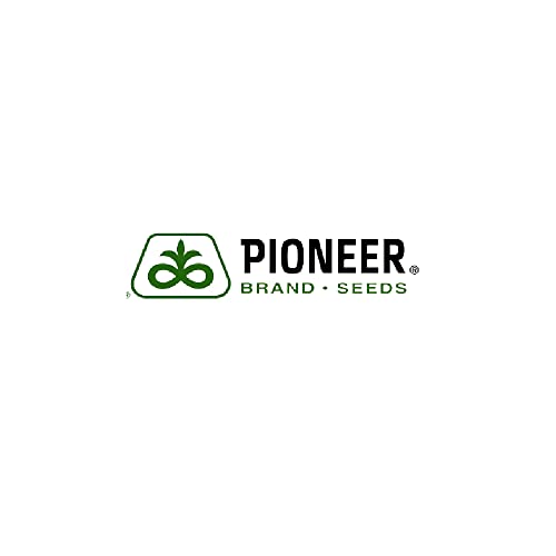 Image of Pioneer 45S46 Hybrid Mustard Seeds / Sarso ke beej - 1kg