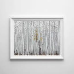Tableau en toile bouleau de haute qualite photo woodland d'art mural scandinave 40x60