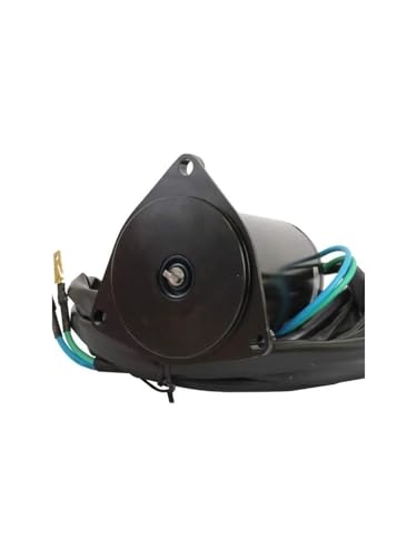 Moteur de trim d'inclinaison indispensable pour naviguer en mer avec E100STL - 2