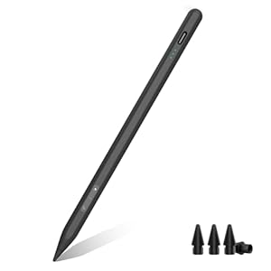 MYSTILUCK Schwarz Stift für iPad