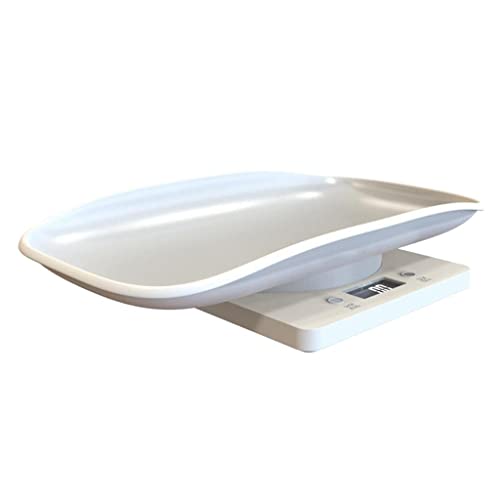 FewNvWa ���@�\����X�P�[�� �̏d�v �q���p