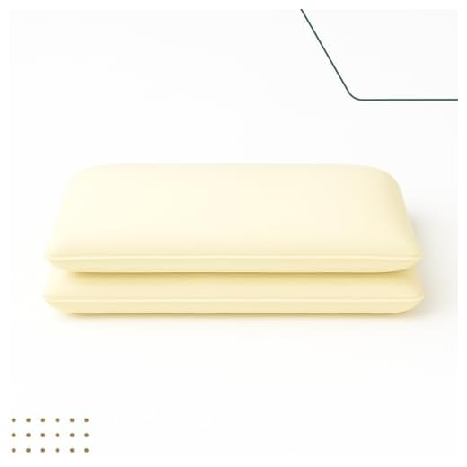 Kit 2 Travesseiros Nasa Suporte Baixo 10cm