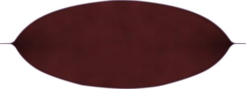 Miniatura 9 de Plum Organics Alimento orgánico para bebés etapa 2 - pera, zanahoria morada y arándanos - Bolsa de 4 onzas - Bolsa orgánica de alimentos para bebés