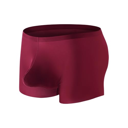 Cerahome Men's Pouch Trunks Ice Silk Enhance Underwear Briefs Low-Rise Ultra-Thin Bulge Pouch Sport Underpants