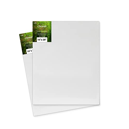 Image of Canvasify White Gesso Primed Canvas Board for Acrylic and Oil Colour Painting | Media for Artists and Students | 16 X 20 Inch Pack of 2