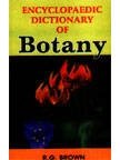 Encyclopaedic Dictionary of Botany - 3 Vols. 8178900823 Book Cover