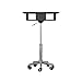 Techni Mobili Rolling Laptop Stand with Extendable Panels, Adjustable Height Customizable Ergonomic Mobile Workstation, Podium, Rolling Laptop Desk or Cart, Graphite