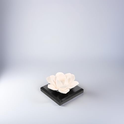 Difusor aromático pasivo para auto y hogar 2 piezas miniatura 4