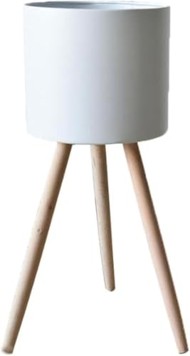 BRZU BS̐AؔAAAkX^CANGCeBuȎ[Av^[At[X^hAut[bNB (zCg,17*32cm)