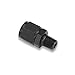 Earls AT916112ERL Earls Straight -12 AN Swivel to 3/4" Male NPT