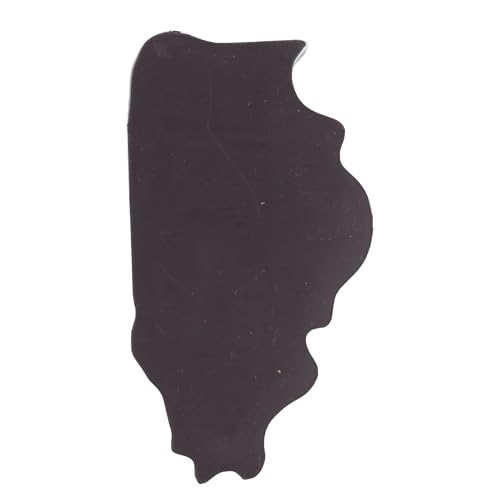 Imán Decorativo de Acrílico con Forma de Illinois 2x3.75 pulg miniatura 6