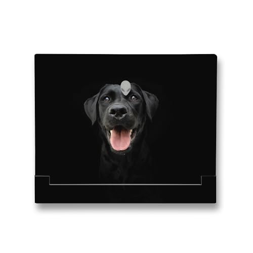 Image of MightySkins Skin Compatible With Alienware X14 R2 (2023) Full Wrap Kit - Black Lab | Protective, Durable, and Unique Vinyl Decal wrap cover | Easy To Apply, Remove, and Change Styles | Made in the USA