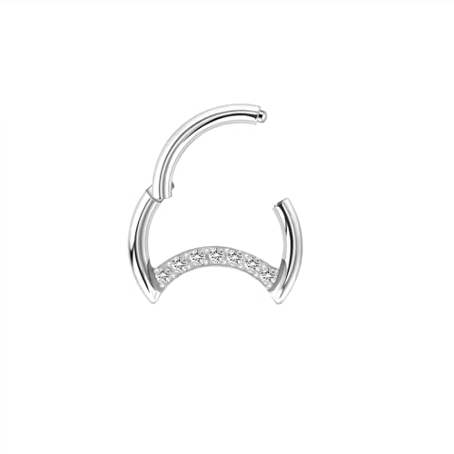 Lantine 16G 8mm Septum Piercing für Männer Herren Damen Zirkonia Septum Ring Silber Nasenpiercing Ring Chirurgenstahl Daith Conch Helix Tragus Piercing Ohr Segmentring Clicker Nasenring