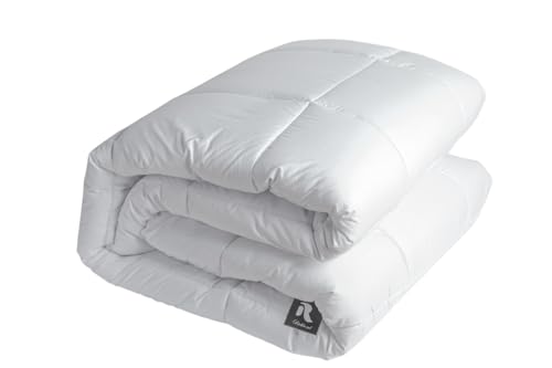 Richbond - Couette 220x240 cm Légère été (200 g/m²) pour 2 Personnes – Fibre Gonflante 64 mm - Tissu en Microfibre de Polyester Brossée – Douce, Respirante & Lavable en Machine