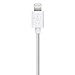 Belkin Boost Up Home Charger with 6-Foot Lightning to USB Charging Cable, White (2.4 Amps / 12 Watts) - F8J204tt06-WHT