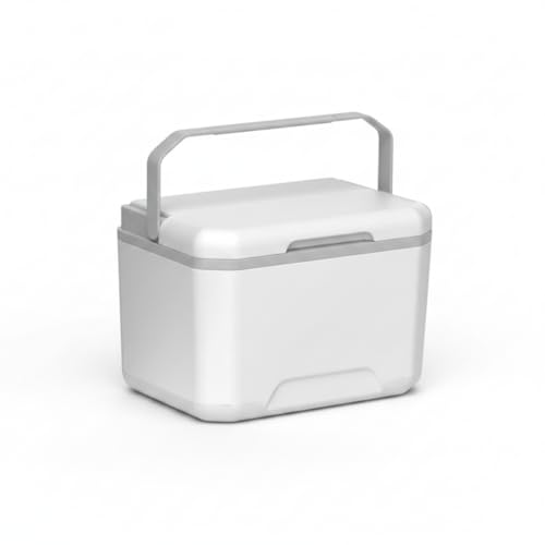 Glacière rotomoulée 5L blanche et grise à parois rigides pour camping et voiture