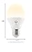 LIFX Mini White (A19) Wi-Fi Smart LED Light Bulb, Dimmable, Warm White, No Hub Required, Works with Alexa, Apple HomeKit and the Google Assistant,9 watts