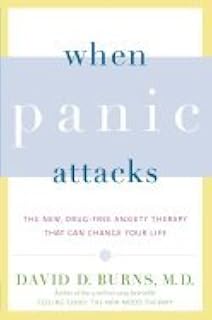 When Panic Attacks (06) by MD, David D Burns [Paperback (2007)]