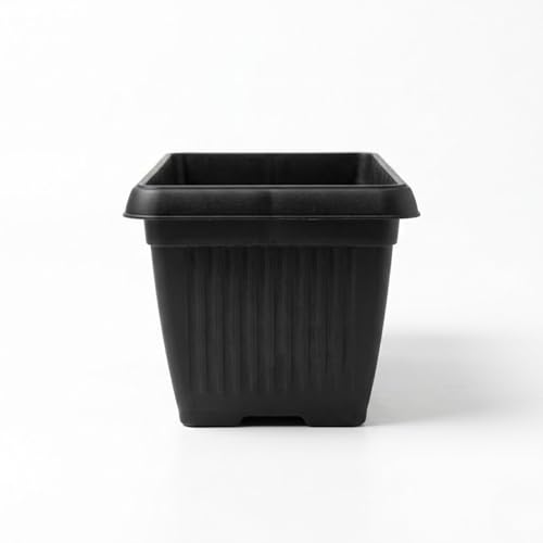 Image of Bello Rectangle 30cm Black Plastic Planter | Rectangular Flower Pot for Home & Garden (Pack of 3)