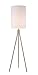 Kenroy Home Floor Lamps